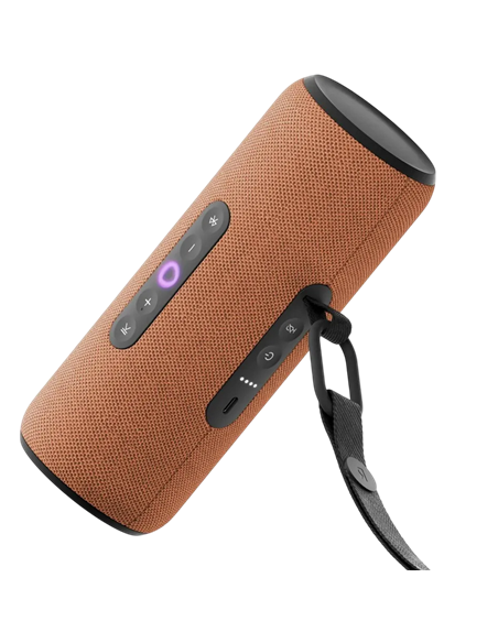 Умная колонка Yandex Station Street, Оранжевый