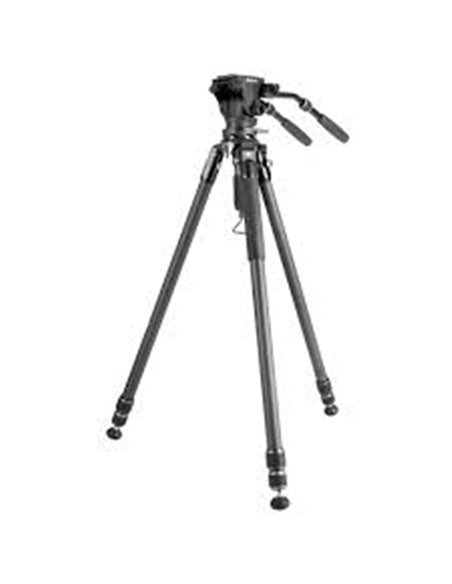 Штатив для видеокамер Vanguard ALTA PRO 3VRL 303AV20, Видеоголовка, Чёрный