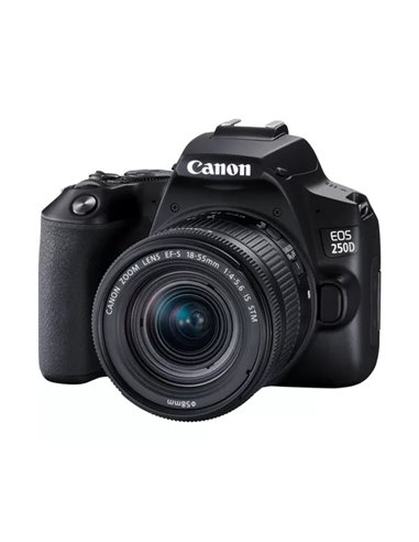 Aparat foto DSLR Canon EOS 250D & EF-S 18-55mm f/3.5-5.6 IS STM KIT