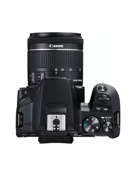 Aparat foto DSLR Canon EOS 250D & EF-S 18-55mm f/3.5-5.6 IS STM KIT