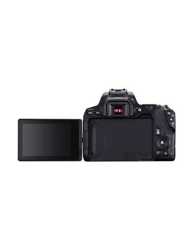 Aparat foto DSLR Canon EOS 250D & EF-S 18-55mm f/3.5-5.6 IS STM KIT