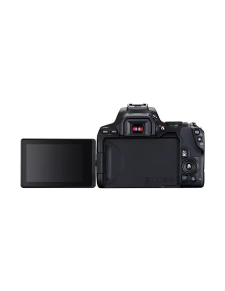 Aparat foto DSLR Canon EOS 250D & EF-S 18-55mm f/3.5-5.6 IS STM KIT