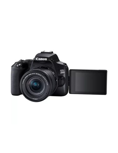 Зеркальный фотоаппарат Canon EOS 250D & EF-S 18-55mm f/3.5-5.6 IS STM KIT 