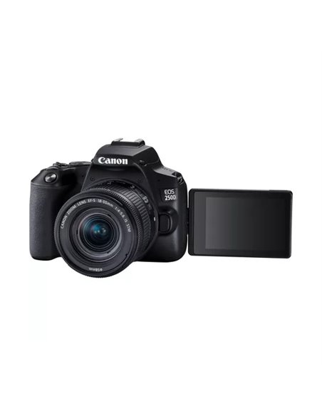 Зеркальный фотоаппарат Canon EOS 250D & EF-S 18-55mm f/3.5-5.6 IS STM KIT 