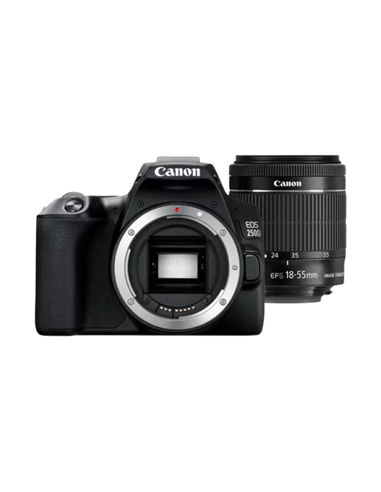Aparat foto DSLR Canon EOS 250D & EF-S 18-55mm f/3.5-5.6 IS STM KIT