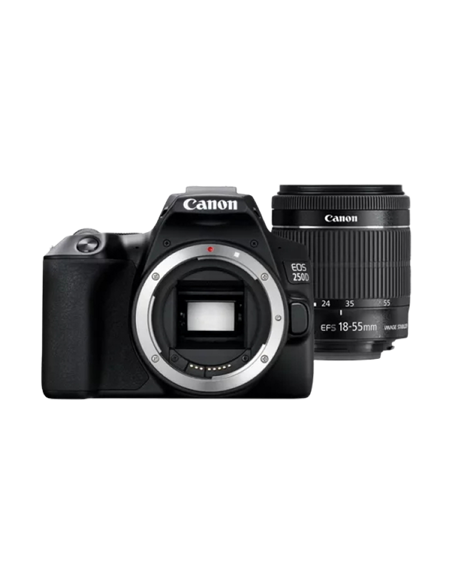 Aparat foto DSLR Canon EOS 250D & EF-S 18-55mm f/3.5-5.6 IS STM KIT