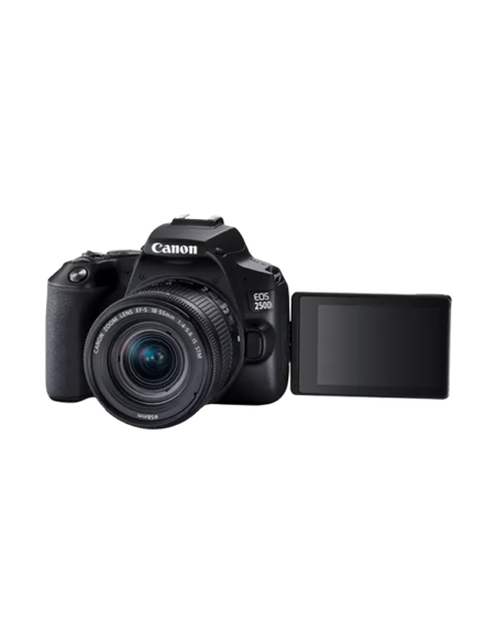 Aparat foto DSLR Canon EOS 250D & EF-S 18-55mm f/3.5-5.6 IS STM KIT