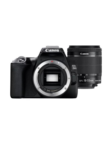 Зеркальный фотоаппарат Canon EOS 250D & EF-S 18-55mm f/3.5-5.6 IS STM KIT 