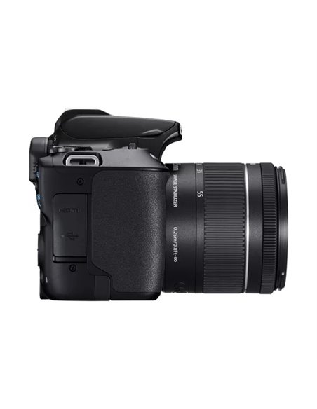 Aparat foto DSLR Canon EOS 250D & EF-S 18-55mm f/3.5-5.6 IS STM KIT