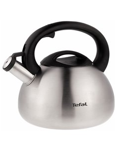 Ceainic Tefal C7921024, 2,5L, Argintiu 2