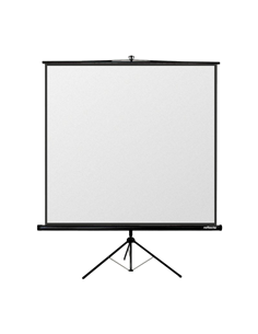 Ecran cu stativ Reflecta Crystal-Line, 1:1