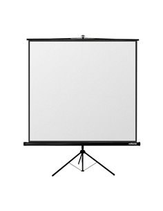 Ecran cu stativ Reflecta Crystal-Line, 1:1 2