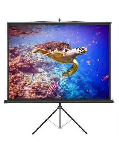 Ecran cu stativ Reflecta Crystal-Line, 1:1