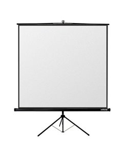 Ecran cu stativ Reflecta Crystal-Line, 1:1 2