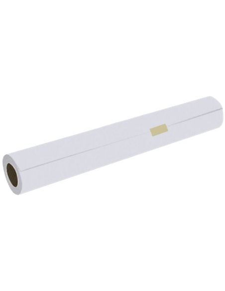 Hârtie Epson Presentation Paper HiRes