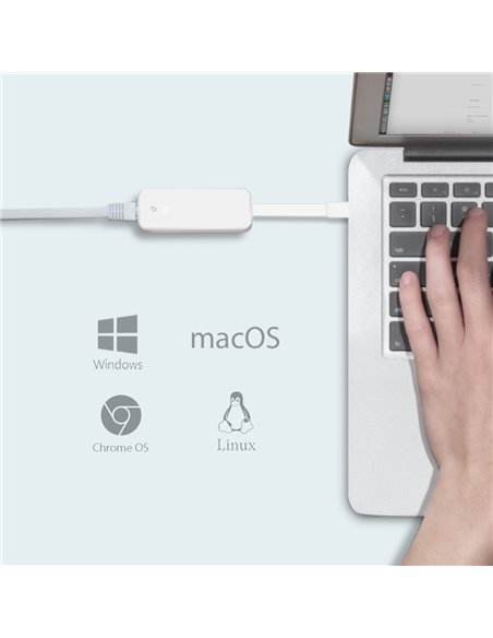 Сетевой адаптер TP-LINK UE300C, Белый