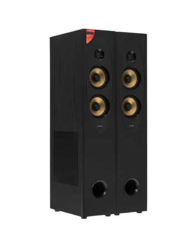 Sistem Audio F&D T-60X PRO, Negru