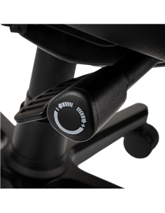 Scaun Gaming Noblechairs Epic, PU Piele, Negru | Albastru 2