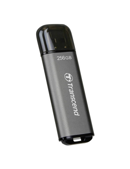 USB Flash накопитель Transcend JetFlash 920, 256Гб, Серый