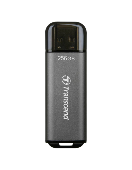 USB Flash накопитель Transcend JetFlash 920, 256Гб, Серый