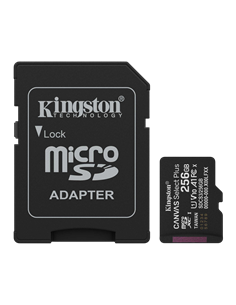 Карта памяти Kingston Canvas Select Plus, 256Гб (SDCS3/256GB)