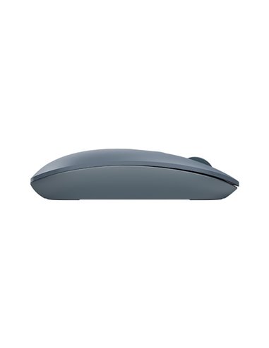 Mouse Wireless A4Tech FG20, Albastru