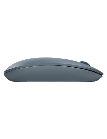 Mouse Wireless A4Tech FG20, Albastru