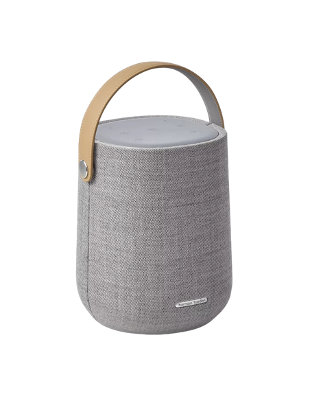 Портативная колонка Harman Kardon Citation 200, Серый