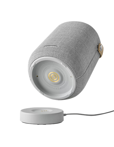 Портативная колонка Harman Kardon Citation 200, Серый