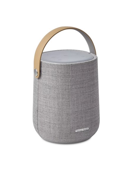 Портативная колонка Harman Kardon Citation 200, Серый