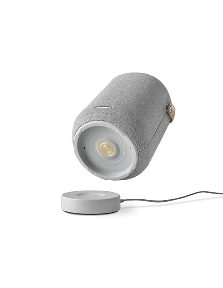 Портативная колонка Harman Kardon Citation 200, Серый