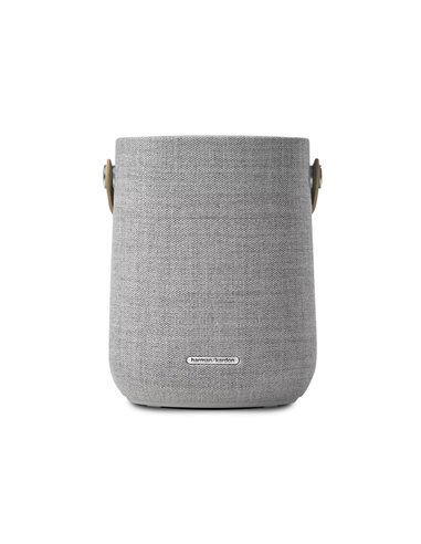 Портативная колонка Harman Kardon Citation 200, Серый