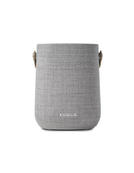 Портативная колонка Harman Kardon Citation 200, Серый