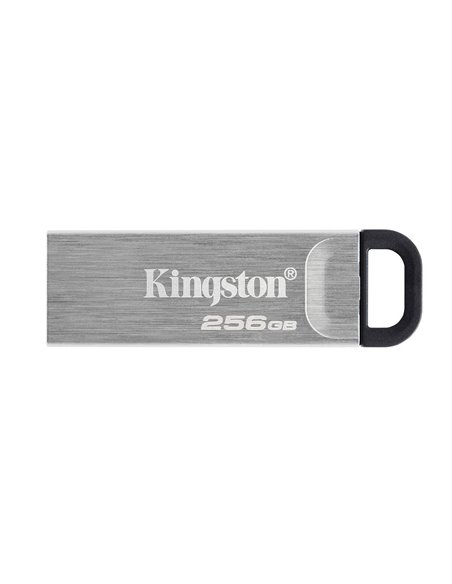USB Flash накопитель Kingston DataTraveler Kyson, 256Гб, Серебристый