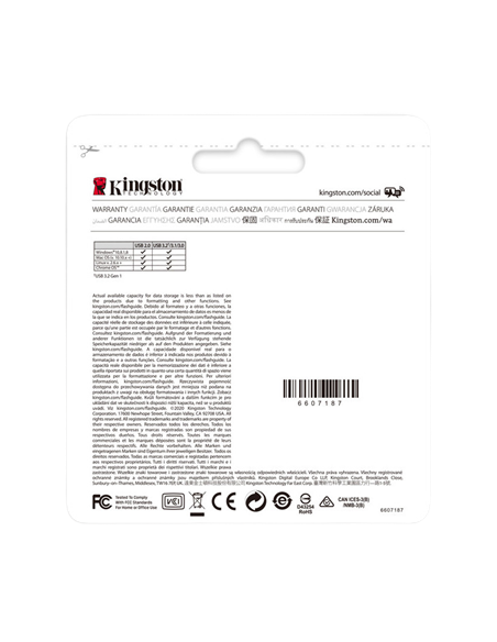 USB Flash накопитель Kingston DataTraveler Kyson, 256Гб, Серебристый