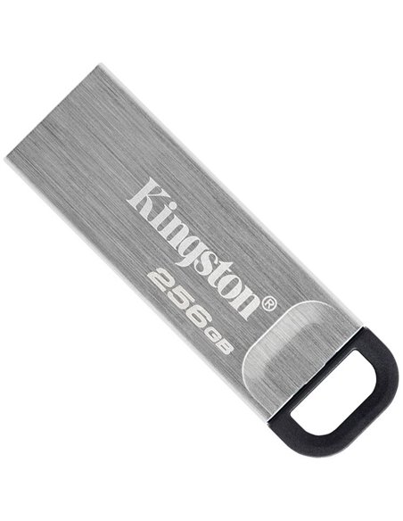 USB Flash накопитель Kingston DataTraveler Kyson, 256Гб, Серебристый