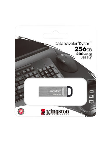 USB Flash накопитель Kingston DataTraveler Kyson, 256Гб, Серебристый