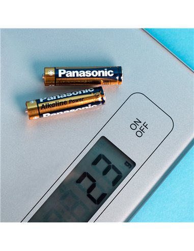 Батарейки Panasonic LR6REE, AA, 2шт.