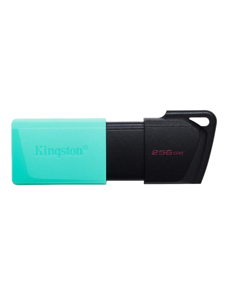 Memorie USB Kingston DataTraveler Exodia M, 256GB, Negru/Albastru