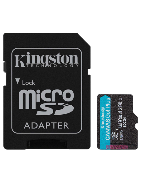 Card de Memorie Kingston Canvas Go! Plus, 256GB (SDCG4/256GB)