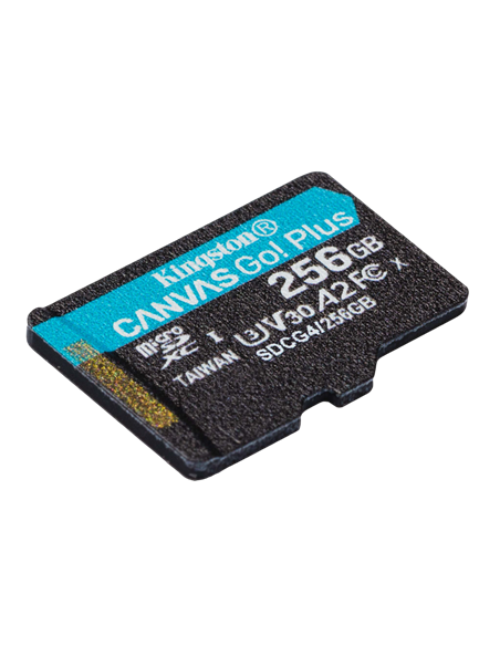 Card de Memorie Kingston Canvas Go! Plus, 256GB (SDCG4/256GB)