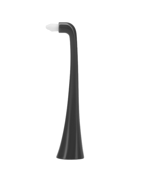 Periuța de dinți electrică sonică Polaris PETB 0701 TC, Grafit