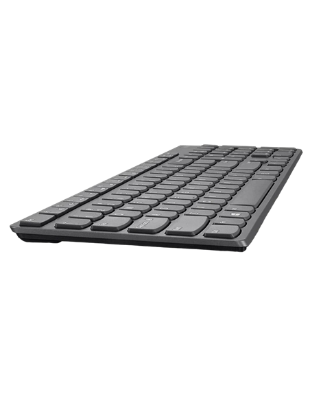 Клавиатура и мышь Lenovo 4X30T25796, Беспроводное, Серый