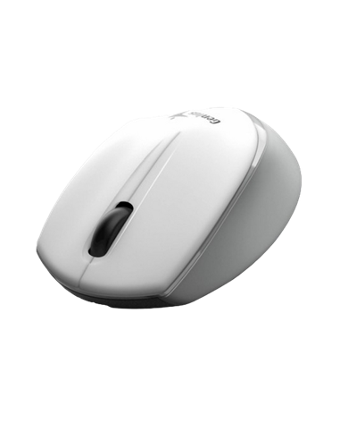 Mouse Wireless Genius NX-7009, Alb/Gri