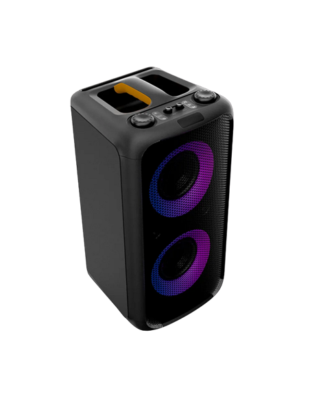 Portable Audio System F&D PA200, 80W, 11.1V/8000mAh, IPX4, TWS, Bluetooth/USB/AUX, 1*Wireless mic