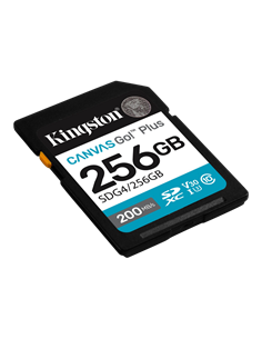 Карта памяти Kingston Canvas Go! Plus, 256Гб (SDG4/256GB) 2