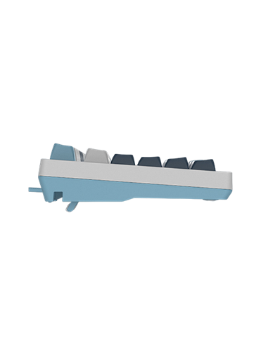 Tastatură A4Tech FS300, Cu fir, Panda Snowboarding