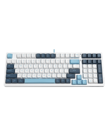 Клавиатура A4Tech FS300, Проводное, Panda Snowboarding