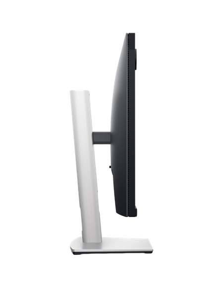 23,8" Monitor DELL P2424HEB, IPS 1920x1080 FHD, Negru | Argintiu