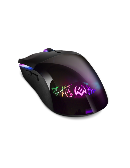 Gaming Mouse SVEN RX-G800, Negru